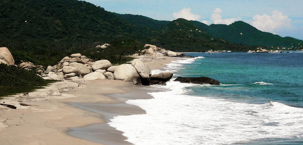 DAY 8: VISIT TO TAYRONA NATIONAL PARK Tayrona National Park is one of the most famous national parks in Colombia.