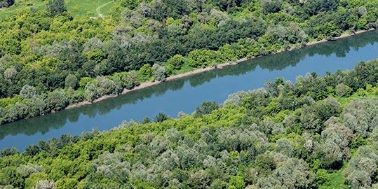 I. Guiding Principles for Nature Conservation The nature conservation Guiding Principles are developed with respect to the three main processes shaping the Sava River basin landscapes: 1)