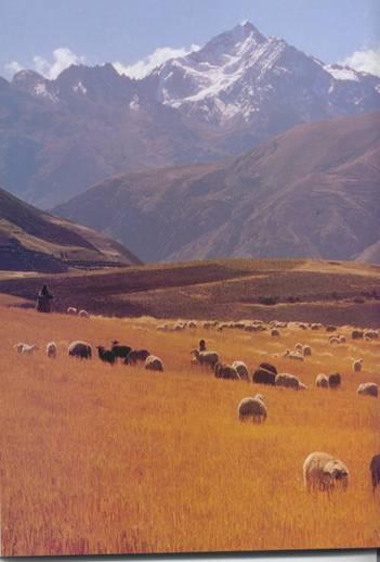 Main use of land in Peru is for Natural rangelands above 3500 meters