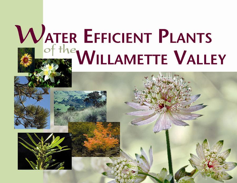 Water Efficient Plant Guide Water Efficient Plant Guide The partners included: Clackamas Community College South Fork
