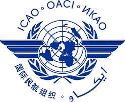 ICAO, World Birdstrike Association and