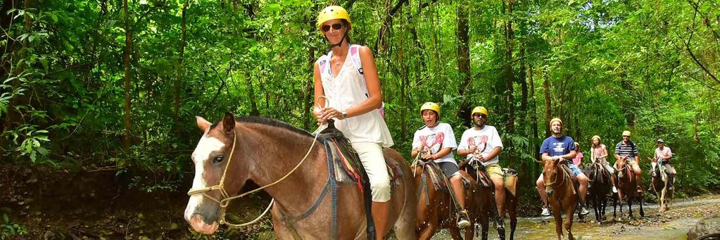 Horseback Riding Adventure 11 Duration: Half Day Includes: Tour Guide, snacks and drinks. Difficulty Level: Medium What to bring: Long lights pants, cool t-shirt, hat, swimsuit, sunscreen, camera.