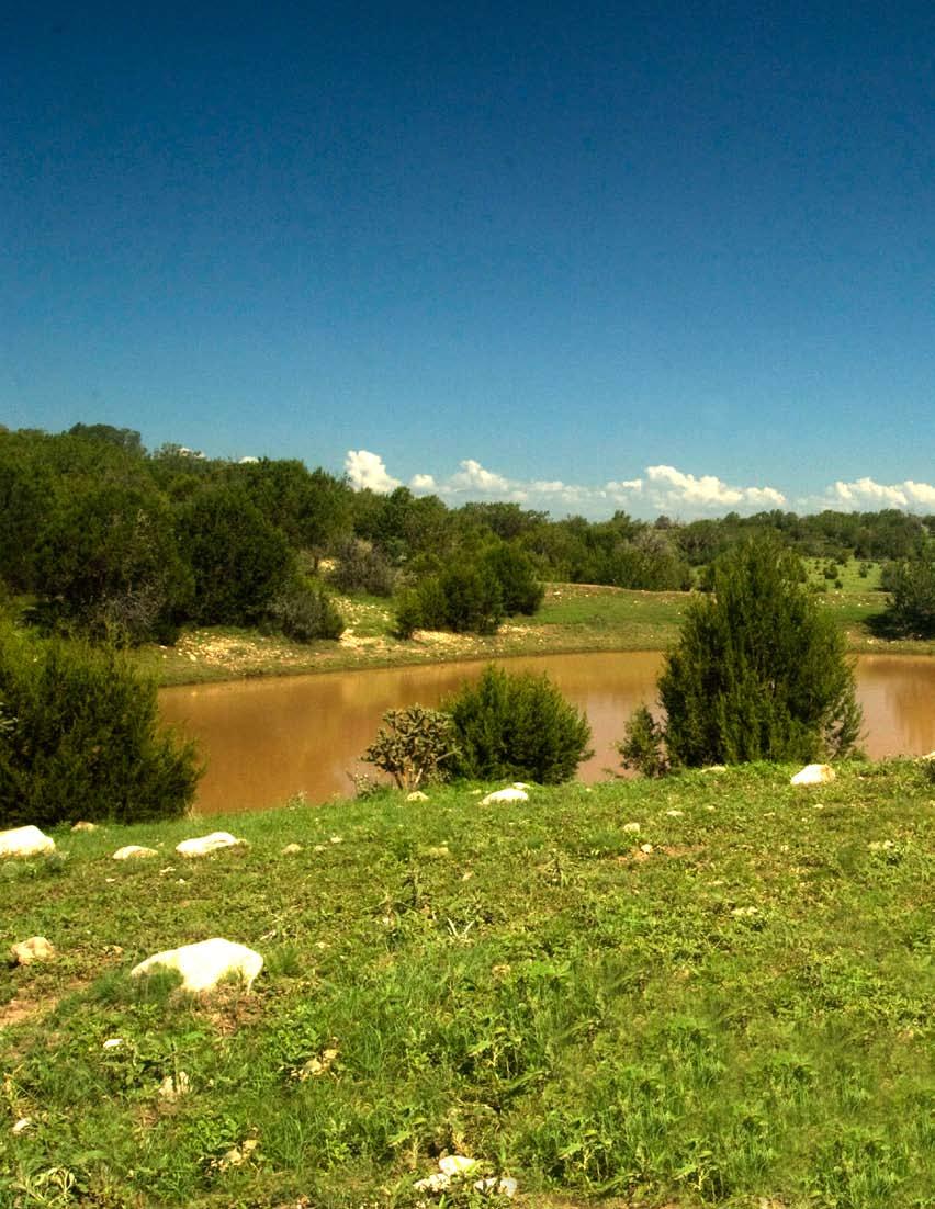 Abundant water throughout... The Cornucopia has earthen tanks throughout the ranch.
