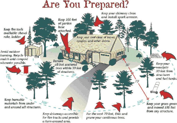 Defensible Space is Key to Protecting Homes from Wildfires By: Northern California Fires Joint Information Center Step One: Determine a defensible space zone at least 100 feet from the home in all