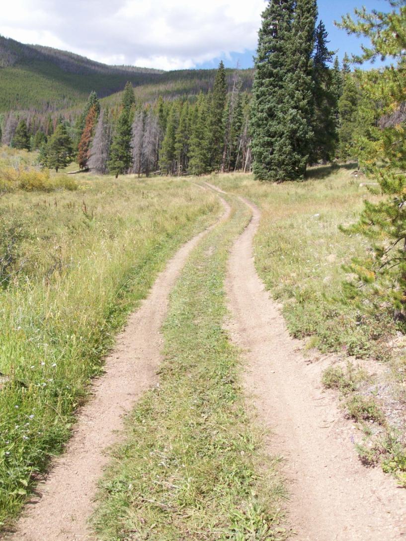 Figure 2 Example of a section of two-track road that would be converted to single-track trail. Waterbars would be constructed across the entire width (W).