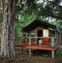 Savute Safari Lodge is a series of glass and timber chalets overlooking a natural waterhole in an area known for big cats