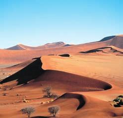 This exciting journey by light aircraft travels from Windhoek, the capital, to the edge of the Kalahari Desert, the magnificent Sossusvlei sand dunes, the cold and barren Skeleton coast and finally