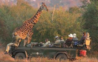 Other lodges and camps are available on request from Wildlife Safari.