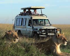ten great reasons to tr avel with wildlife safari Wildlife Safari is one of Africa s most experienced and respected safari companies, offering product, service and value second to none.