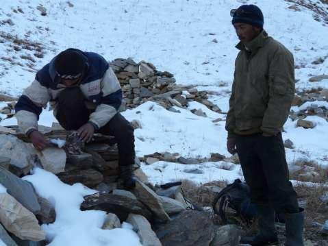 Summary of direct and indirect evidence of large carnivores in Kargil