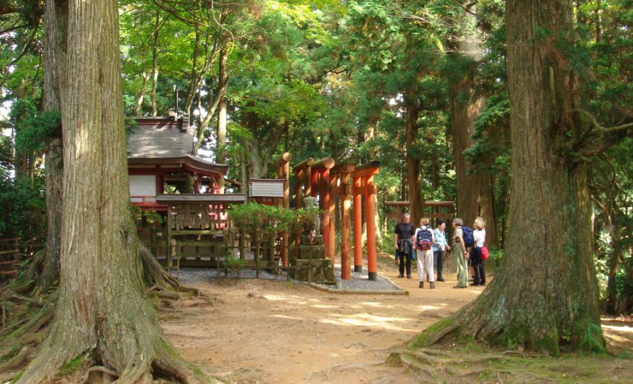 Kansai Walking Trails 2-week guided walking and sightseeing tour in the heart of Japan Day 1 Arrive Osaka Arrive Osaka and make your own way to your hotel in the city centre, where you will be met by