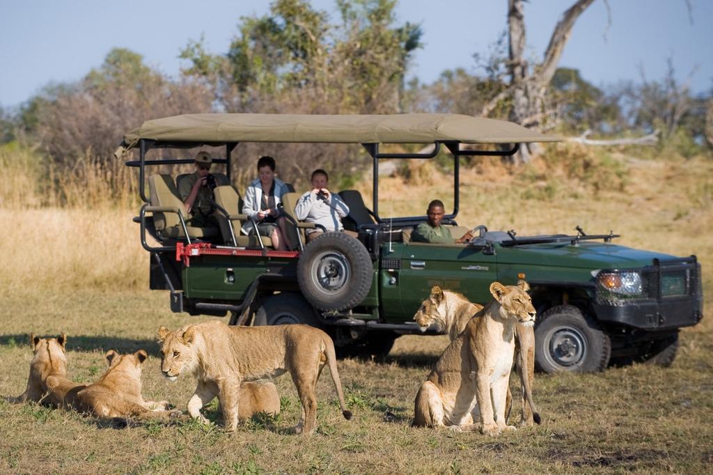 This camp is owned and was rebuilt in 2007 by famed wildlife filmmakers Dereck and Beverly Joubert.