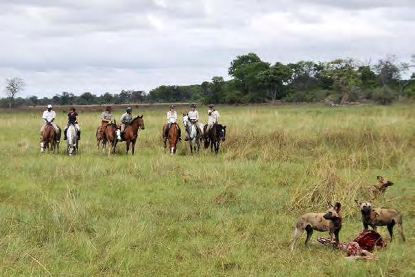 Day 2 - Motswiri to Selinda Mobile Camp This morning you ll explore on horseback - the area where the Okavango Delta narrows and forms the