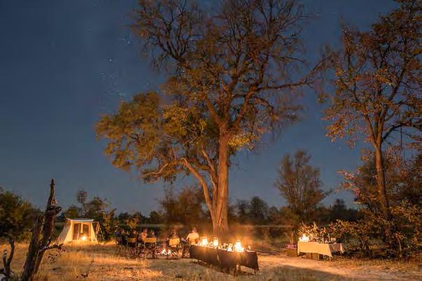 Camp locations are chosen depending on animal movements and water levels and the camp sites are rustic yet comfortable.