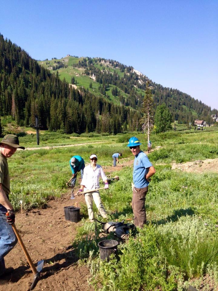 Progress Annual Town of Alta Restoration Day Completed small reroutes Trailhead signs and directional markers Update