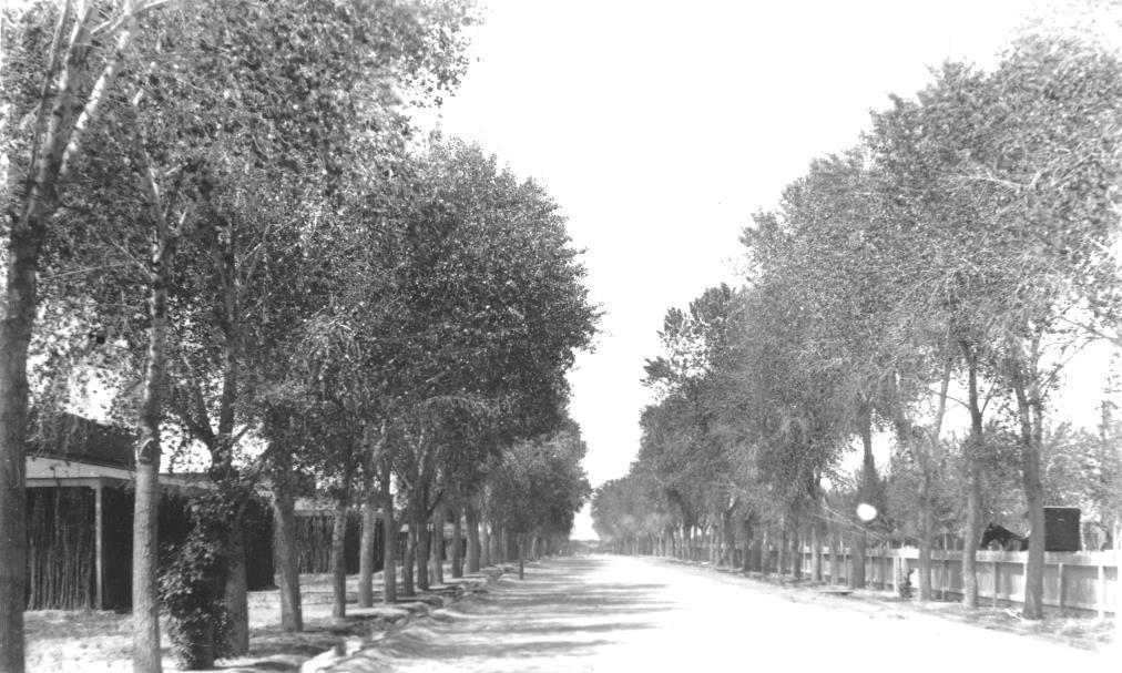 Historic Rillito River Communities This is Fort Lowell s Officers Row Lane as it appeared in 1888. (Courtesy of Arizona Historical Society, 42674) Tucson for sale.