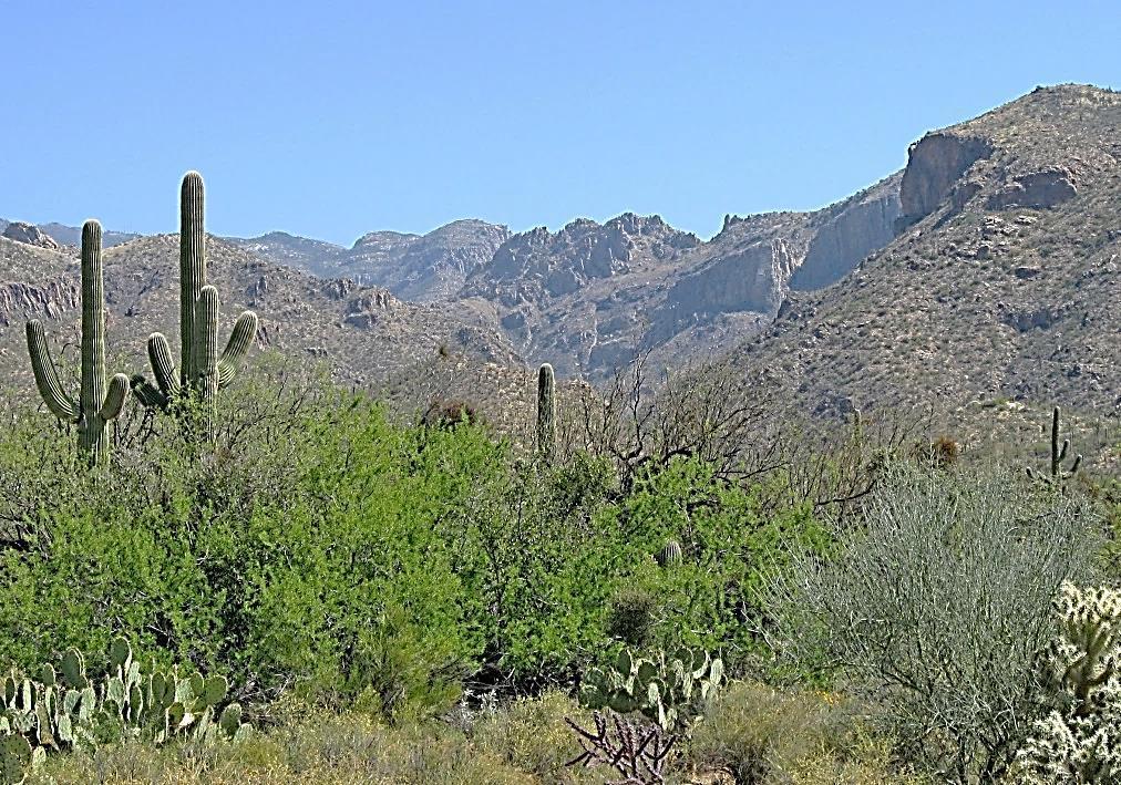 Watch Tucson Grow to the Northeast from melting ice and rainwater erode the landscape.