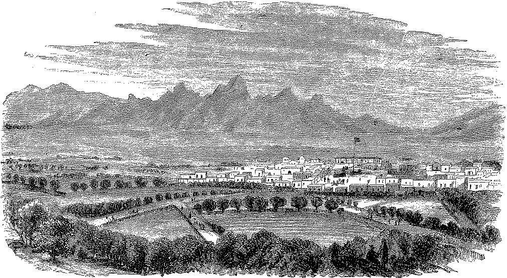 A Brief History of Tucson Prescott, not Tucson, was the first capital of the new Arizona Territory. Tucson was regarded as too supportive of the Southern Cause.