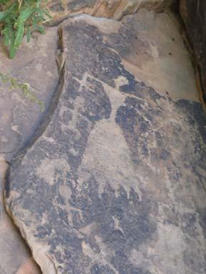 (Continued from page 6) October 2014 / Newsletter of the Arizona Archaeological Society.More CHAPTER NEWS. The canyon, at this time of year, contained water for wading and many, many petroglyphs.