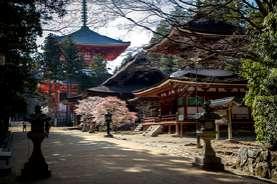 On our 2nd day in Nara, we visit Kasuga Taisha Shrine, decorated with thousands of lanterns and take a walk to explore the Old District, Naramachi and Nara Park with the Ukimido Gazebo floats on