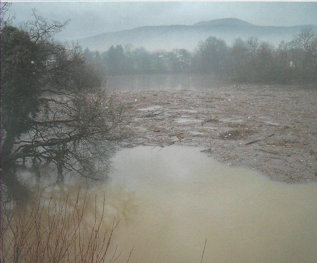 Catastrophic flood on the Upper Dobra