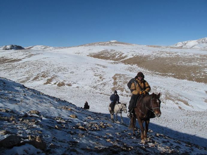 Mountain by horses. It is the best way to approach the busy Marco Polo herds.