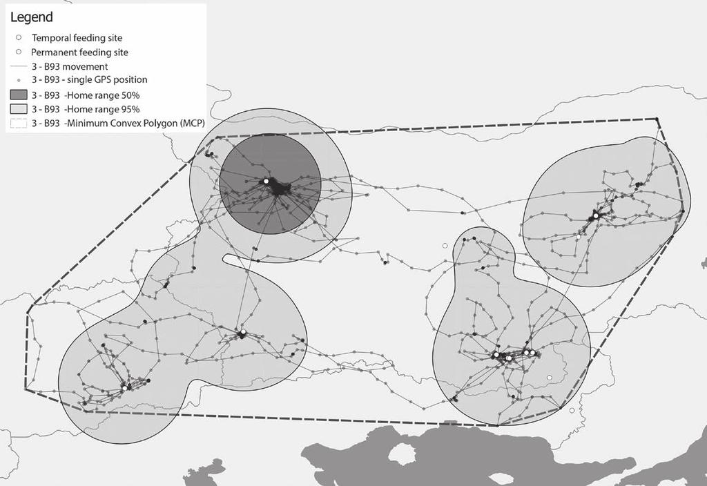 Population Boost of the Griffon Vulture Gyps fulvus (Hablizl, 1783) in Bulgaria Based on Reintroductions The breeding success of the new colonies is still relatively low: 0.29 in the Kresna Gorge, 0.