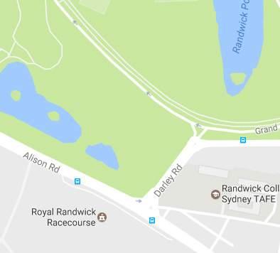 Alternative option Royal Randwick Racecourse Existing streetscape of new light rail stop at Centennial Park Local landmark 25 characters Required Races at Randwick are held