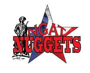 1 NGAT NEWS NUGGETS March 2016 3706 Crawford Ave Austin, Texas 78731-6308 512-454-7300 www.ngat.org HERE IS EVERYTHING YOU NEED TO KNOW ABOUT THE NGAT CONFERENCE!