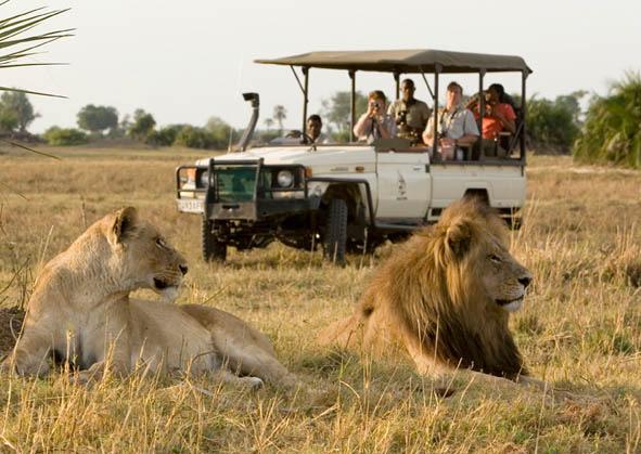 The package price includes wildlife viewing by 4WD & boat; national park entry fees; internal transport; quality accommodation in permanent tented camps, mobile bush camps & safari lodges; most meals