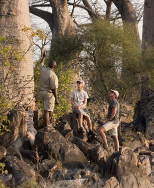 WHAT MAKES THIS SAFARI SPECIAL Rustic and comfortable mobile camping allows you to get closer than ever to the spectacular African