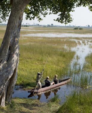 All tours have scheduled departure dates. Best of Northern Botswana Chobe, Savute, private concessions in the Okavango Delta.
