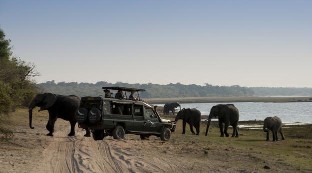 Experience unforgettable game drives and private boat cruises on the Chobe River.