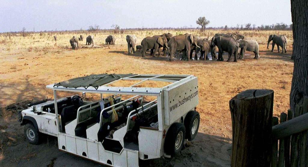 BOTSWANA THE BUFFALO SAFARI CHOBE, MOREMI & LIVINGSTONE 2019-8 DAYS/7 NIGHTS SEMI PARTICIPATION GUIDED CAMPING SAFARI This mobile camping adventure safari is perfect for those with limited time