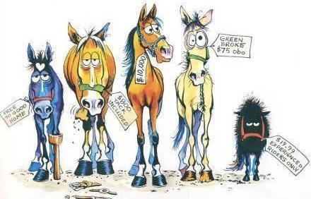 SAN MARTIN HORSEMEN S ASSOCIATION Board Meeting August 20, 2014 Board meeting for August was cancelled next Board meeting is scheduled for Sept 17th Animal and Plant Sitting: Reliable Care for your
