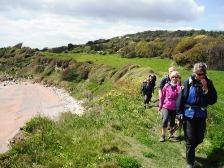 We followed a well-trodden coastal path meeting mostly couples but also a small Canadian Group doing the island s 100 mile circuit along The Undercliff above the sea to Steephill Cove.