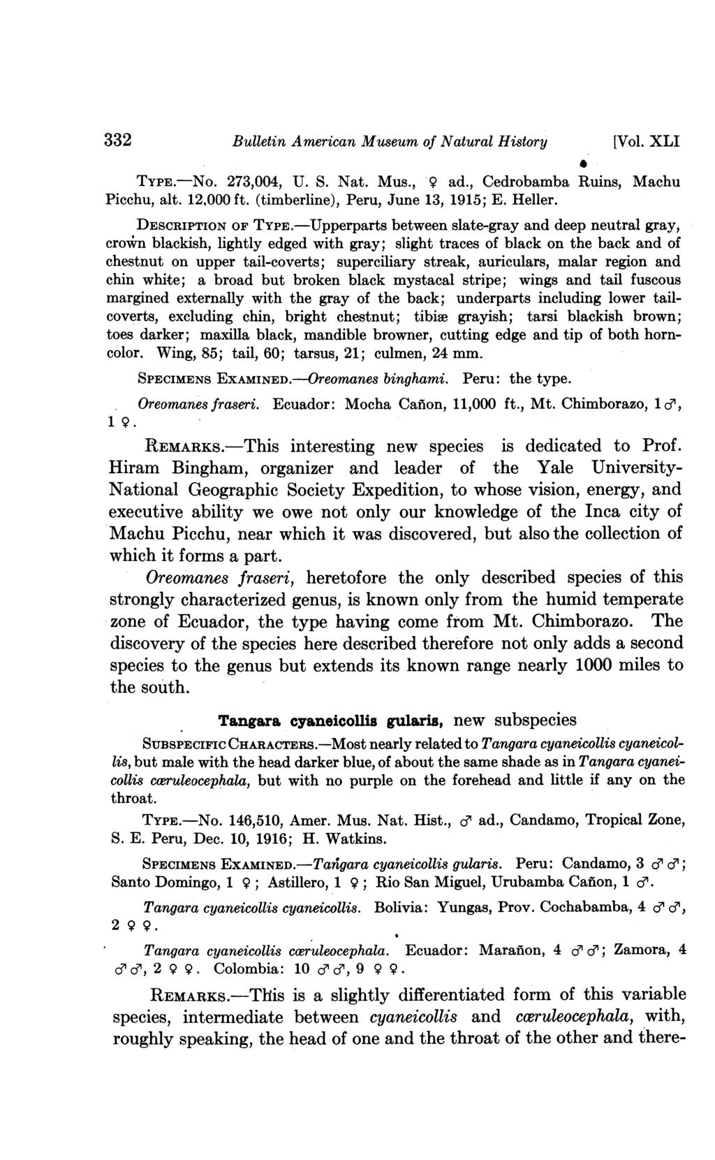 332 Bulletin American Museum of Natural History [Vol. XLI TYPE.-NO. 273,004, U. S. Nat. Mus., 9 ad., Cedrobamba Ruins, Machu Picchu, alt. 12,000 ft. (timberline), Peru, June 13, 1915; E. Heller.