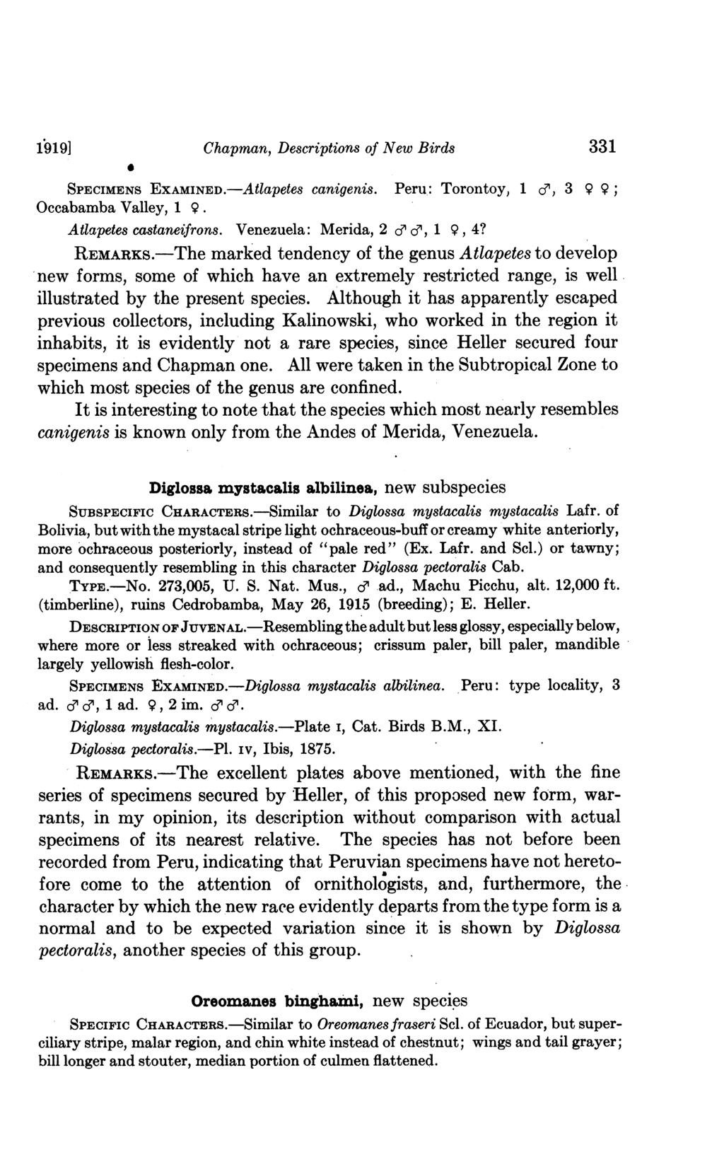 1919] Chapman, Descriptions of New Birds 331 0 SPECIMENS EXAMINED.-Atlapetes canigenis. Peru,: Torontoy, 1 Occabamba Valley, 1 9. c, 3 9 9; Atlapetes castaneifrons. Venezuela: Merida, 2 e cp, 1 9, 4?