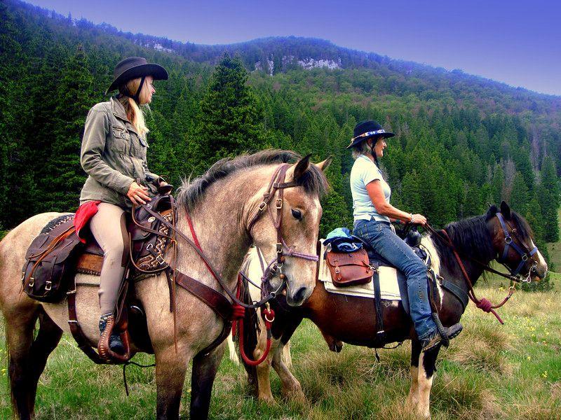 Linden Tree Retreat & Ranch ACTIVITIES Linden Tree Retreat & Ranch is the only genuine working guest ranch in Croatia, surrounded by
