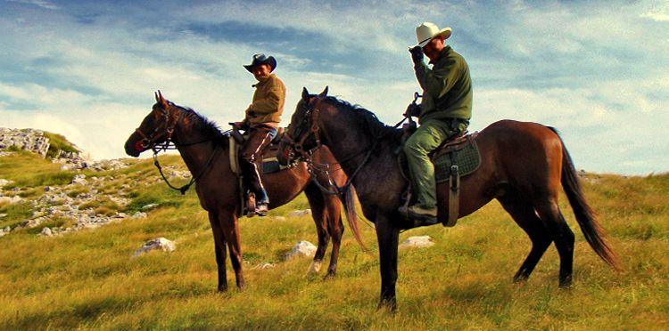 Our wranglers at the Ranch are well versed in Natural Horsemanship and love sharing their passion for horseback riding with guests