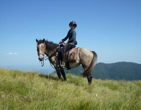 2 HOUR RIDE: Enjoy this scenic two-hour ride going through the valley with spectacular views, stream crossings, riding trough gorges and meadows.