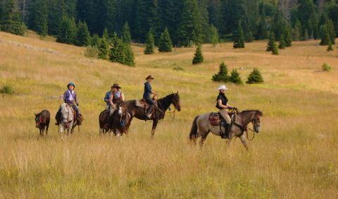 Delight in the simple luxury of experience the power of a strong and willing horse beneath you, the freedom of the frontier and satisfy your yearning for adventure.