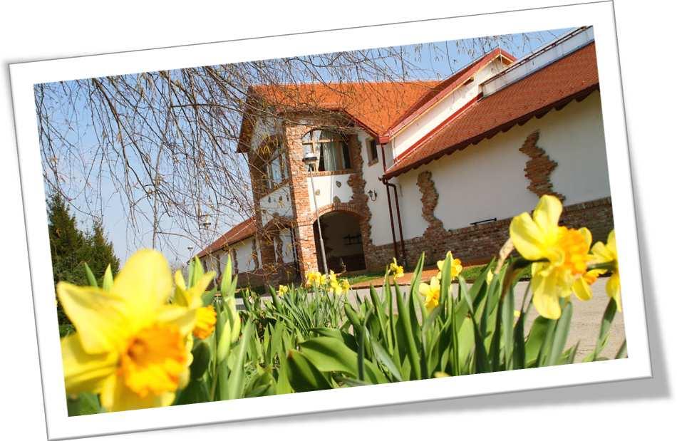 2. Accomodation : in the pustara Rooms have been reserved at estate Višnjica.