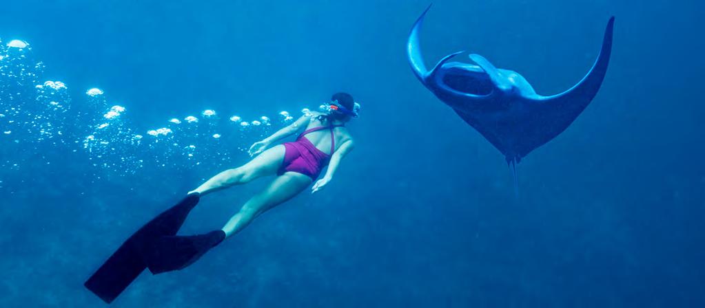 ONCE-IN-A-LIFETIME EXPERIENCES AT KIHAVAH SWIMMING WITH MANTA RAYS Hanifaru Bay lies within the Baa Atoll, a UNESCO Biosphere Reserve, and is home to the world s largest congregation of manta rays