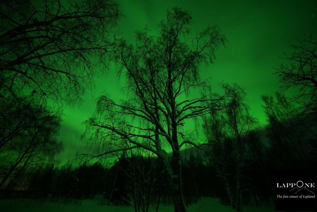 Northern lights are a natural phenomenon, which is very difficult to forecast and whose visibility can be hampered by several factors (light pollution, cloud cover, location of the observer, etc.).