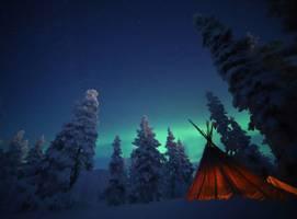 stay Services of our expert local guide Trip Overview Tucked behind a small forest, on the outskirts of the ski town of Saariselkä is the Northern Lights Village.