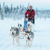 HUSKY REINDEER TOUR DE TORASSIEPPI LOCAL CULTURE Visit the Husky farm and continue the day with a 17 km husky safari. The sled will slide through the treeless swamps and snow covered forests.