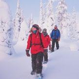 2 PERSONS, PRICE: 65 Put your snowshoeing gear on and head for a search for the northern lights.