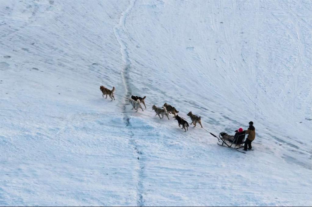 Help harness them before heading out into a location outside the major tourist areas and where we can almost promise that you will enjoy pristine arctic nature alone.