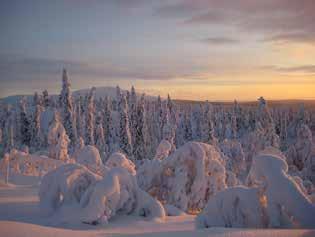 For about three kilometers we head up through the rugged scenery of the Ylläs-Pallas National Park.